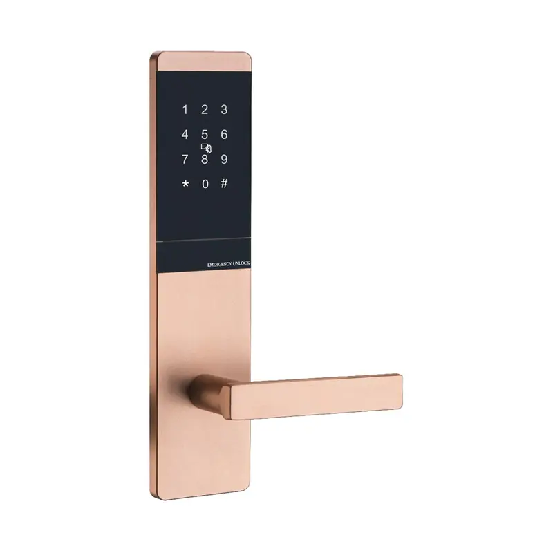 2101 Gold Password Lock