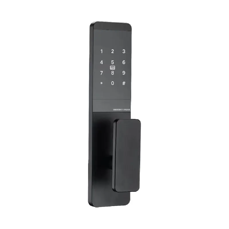 2171 Black Password Lock