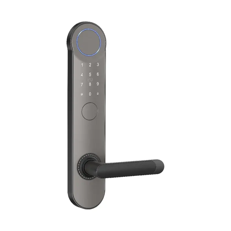 811Grey Password Lock