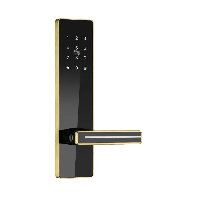 8819Gold Password Lock