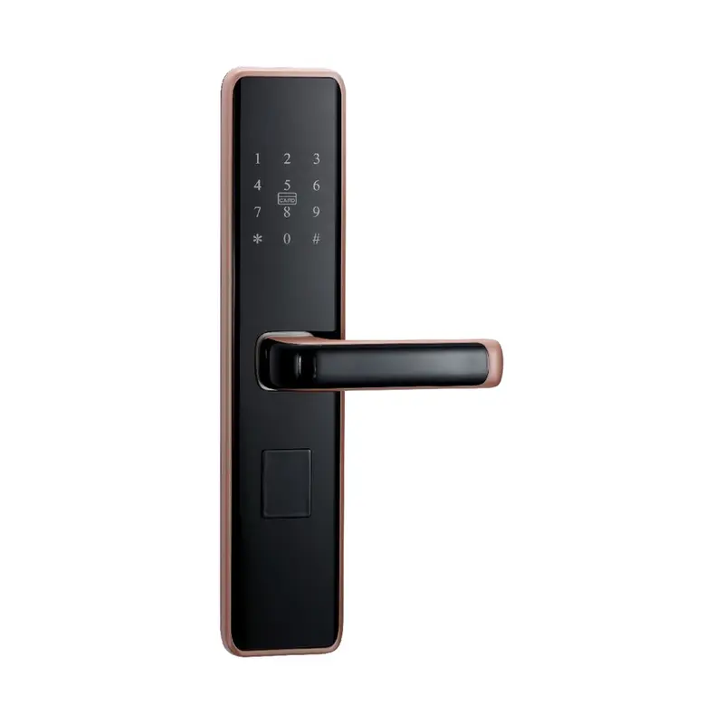 F-26 Red Bronze Password Lock